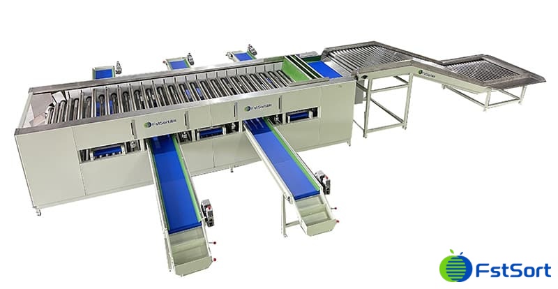 images/1696925048547carrot sorting grading machinery.jpg